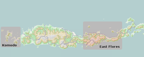 Flores Island map