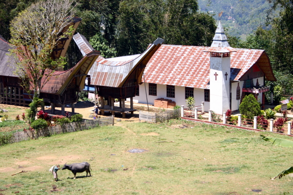 A buffalo, a church, and traditional houses.