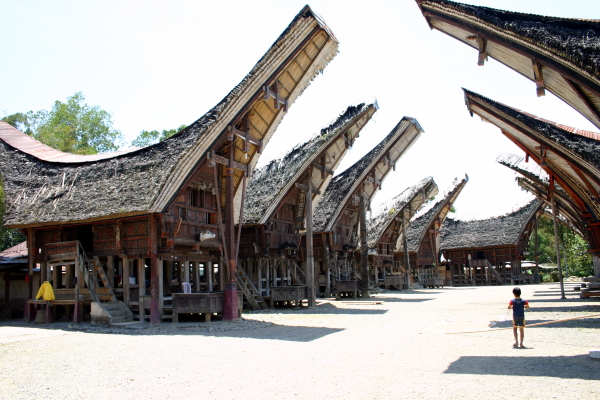 Traditional Torajan tongkonan houses near Rantepao